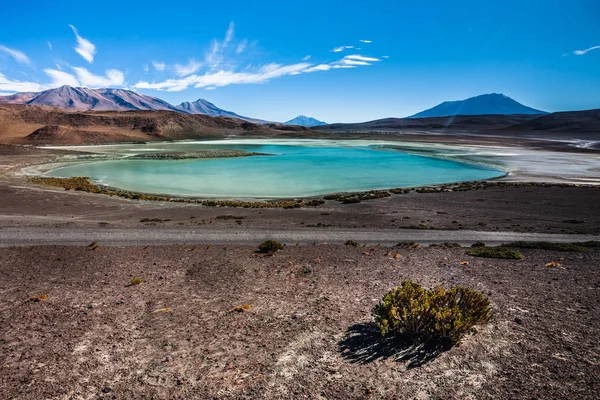 Laguna Colorada Означает Красное Озеро Мелкое Соленое Озеро Юго Западе — стоковое фото