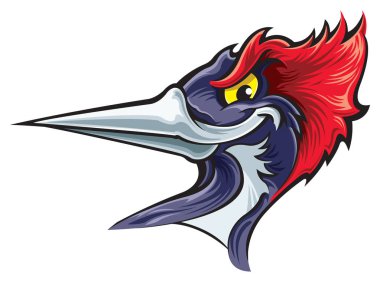 Kırmızı kafa izole ağaçkakan