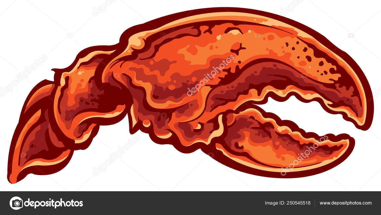 Lobster Claw Isolated White Stock Vector Image by ©SlipFloat 250545518