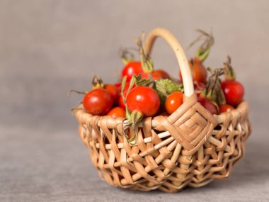 Dekoratif sepet içinde yabani gül çilek hasat