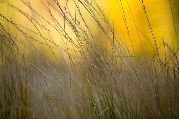 Jasná podzimní nálada — Stock fotografie