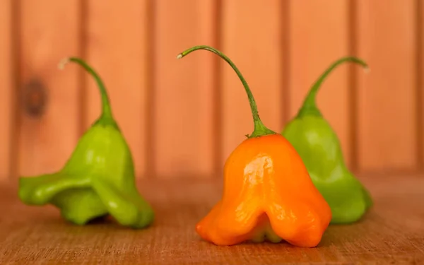 Pimienta picante para cocinar — Foto de Stock