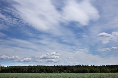güzel beyaz bulutlar