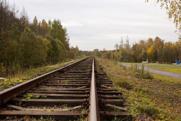 Ferrocarril Que Hacia Horizonte Movimiento Hacia Adelante Fiable Largo Ruta — Foto de Stock