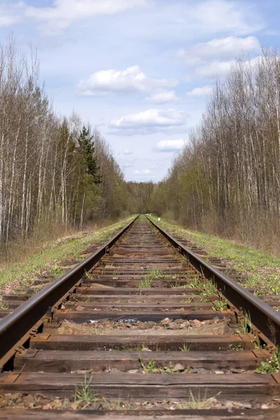 Ferroviária Indo Para Horizonte Movimento Para Frente Confiável Longo Caminho — Fotografia de Stock