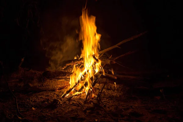 篝火的火焰在寂静的夜色中舞动 — 图库照片
