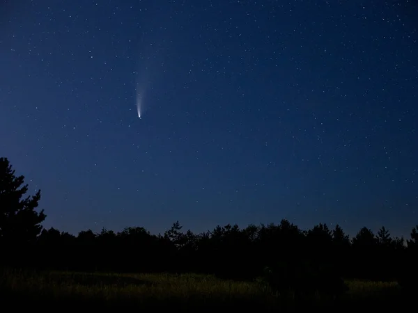 Bright stars and planets in the night sky