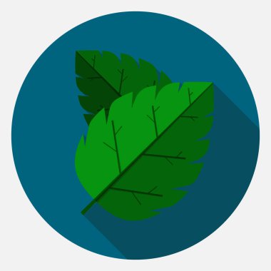 Yaprak simgesi vektör düz tasarım.