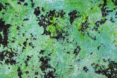 Arka plan doku alanlar siyah ve yeşil ve mavi tonları ile.