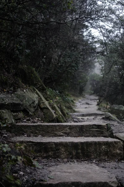 Bulutlu, sisli bir gün Kuzey Carolina'da bir kirli, gerçekçi doğal yürüyüş iz fotoğrafı. Mesafe içine bulanık yol yol iken fotoğraf özelliklerini adımları odak taş.