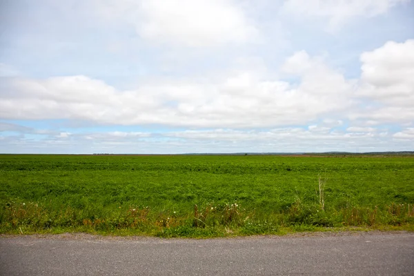 Sur Côté Une Route Goudronnée Grand Pâturage Ouvert Champ Étend — Photo