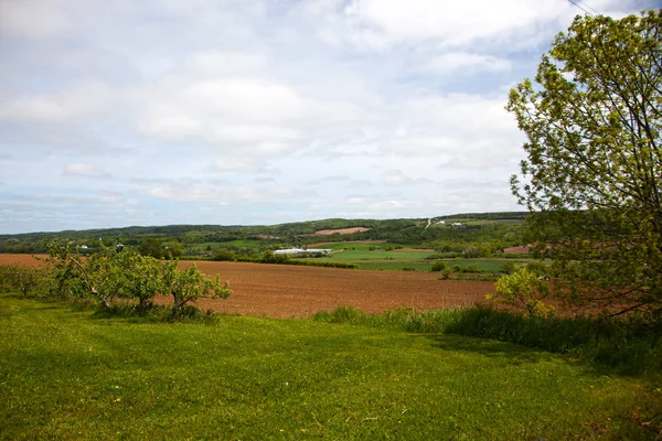 Terres Agricoles Coteaux Pommiers Paysages Ruraux Canadiens Vallonnés — Photo