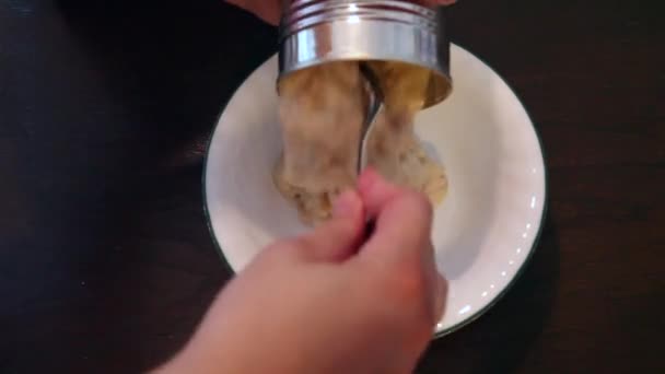 一把从罐头到碗里的手匙杂烩饭 — 图库视频影像