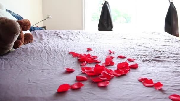 Бросает Красные Лепестки Роз Кровать Готовясь Романтической Ночи — стоковое видео