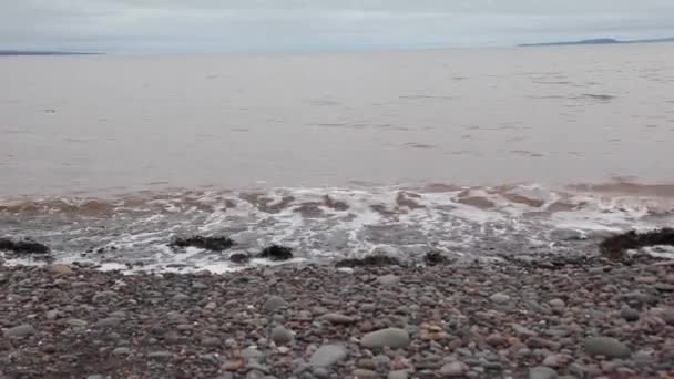 Κύματα Που Έρχονται Ένα Σκούρο Γκρι Ημέρα Συντρίβει Ενάντια Βράχια — Αρχείο Βίντεο