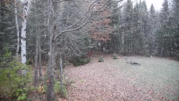Herbstfarben Einem Hinterhof Werden Langsam Mit Frischem Weißen Flauschigen Schnee — Stockvideo