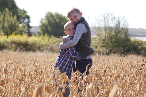 Two Blond Brothers Hugging Field Sunny Autumn Day — Stock Photo, Image