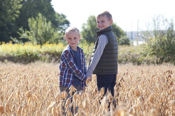 Kardeşler el ele tutuşarak, geri bir sonbahar gününde kameraya bakarak bir alanı keşfetmek 