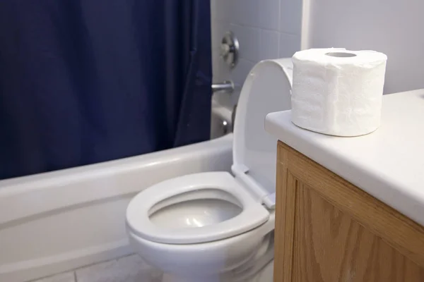 Een Badkamer Naast Douche Wastafel Een Toilet Een Rol Papier — Stockfoto
