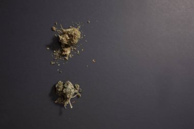 Sativa marihuana iki farklı türde düz yatıyordu