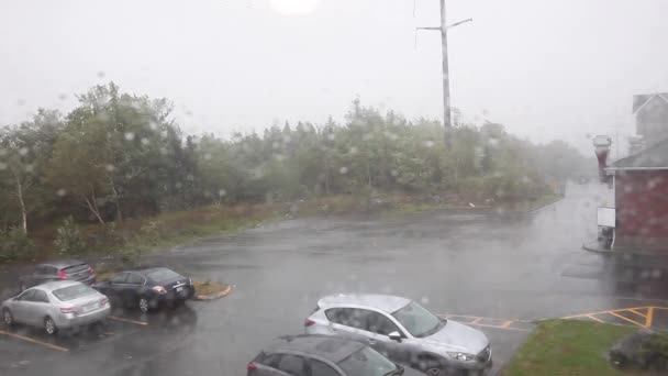 September 2019 Halifax Nova Scotia Het Begin Van Komst Van — Stockvideo