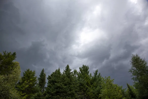 Mörka olycksskymande Storm moln över träd — Stockfoto