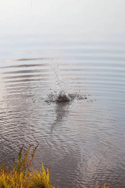 The high splatter of water droplets after a rock thrown into the ocean