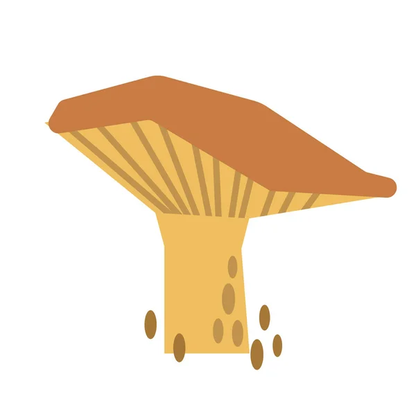 Champignon couleur illustration simple — Image vectorielle