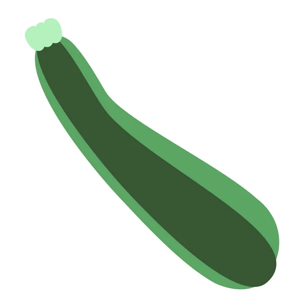 Zucchini flat color art illustration — Stock Vector