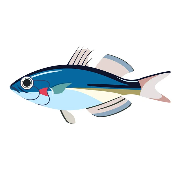 青魚フラット図 — ストックベクタ