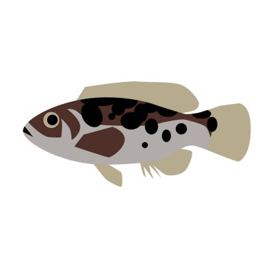 Benekli balık düz stil illüstrasyon