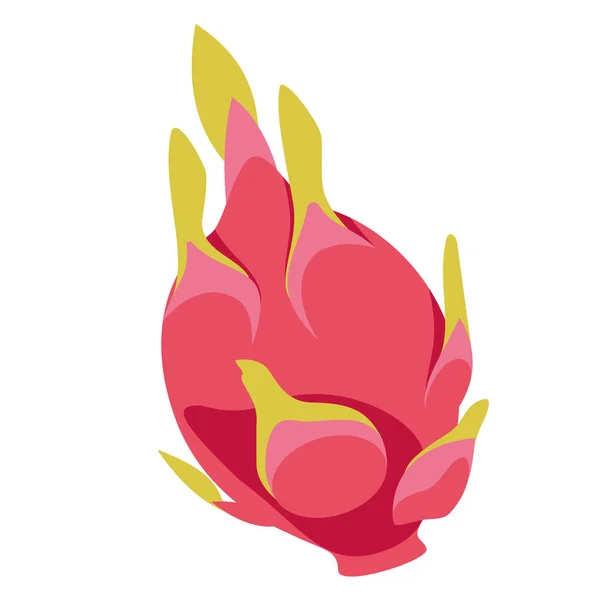 Drachenfrucht flach einfache Illustration — Stockvektor