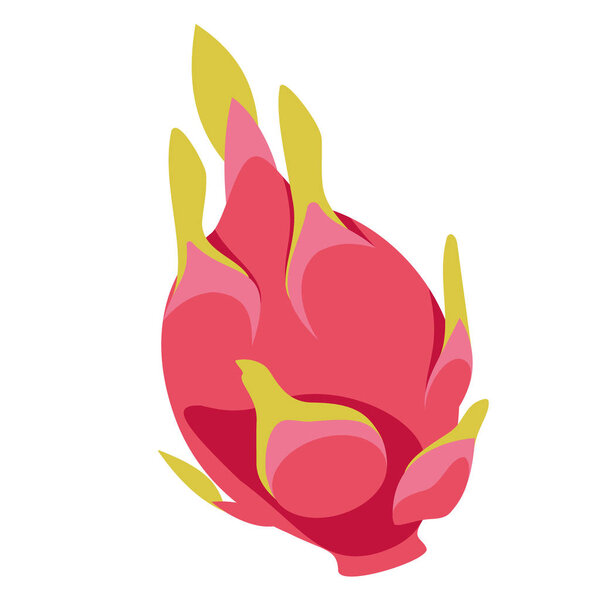 dragon fruit flat simple illustration