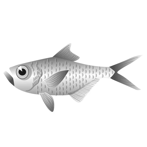 Silver wild fish gradient color bright illustration — Stock Vector