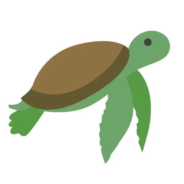 Illustration plate de tortue verte — Image vectorielle