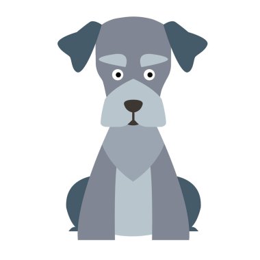 Schnauzer düz illüstrasyon