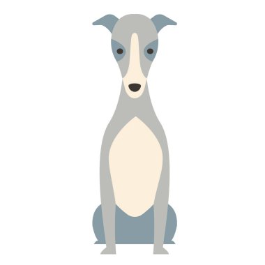 Greyhound flat illustration clipart