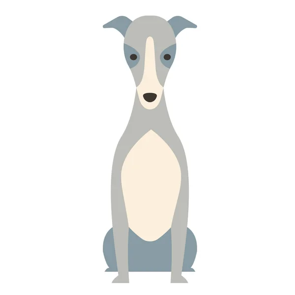 Greyhound plochý obrázek — Stockový vektor