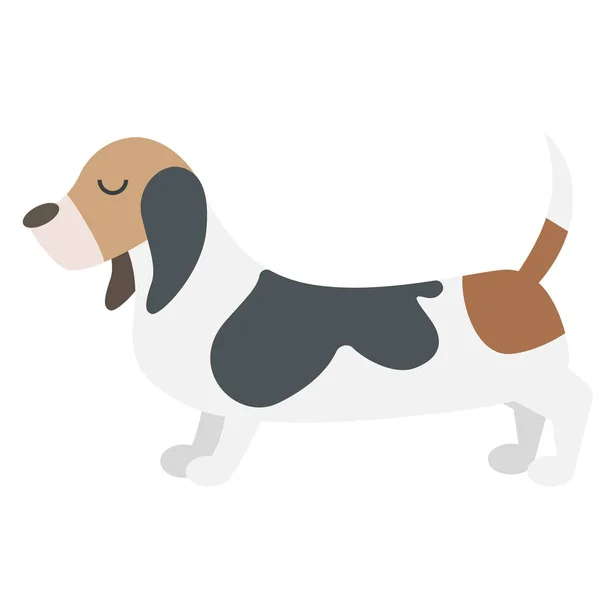 Basset hound flat illustration — Stock Vector