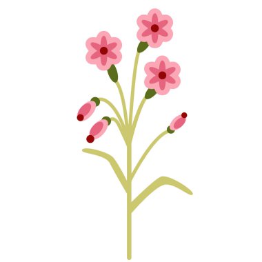 Çiçekli dogwood düz illüstrasyon