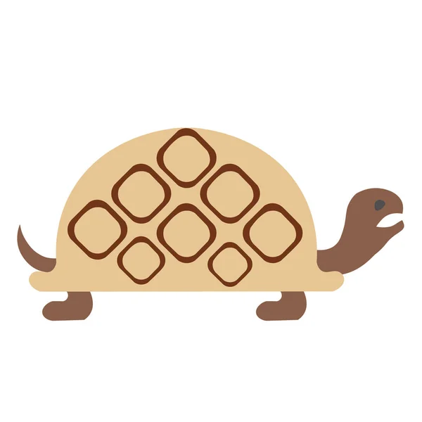 Schildkröte flach — Stockvektor
