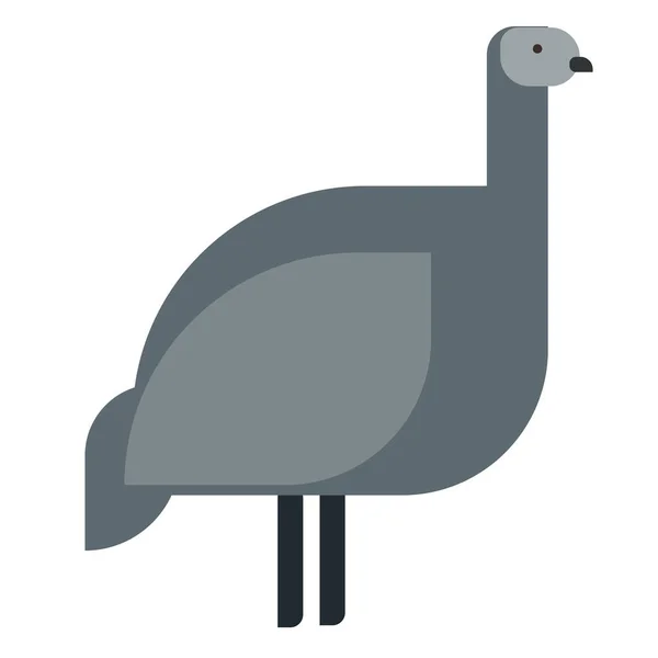 EMU düz illüstrasyon — Stok Vektör