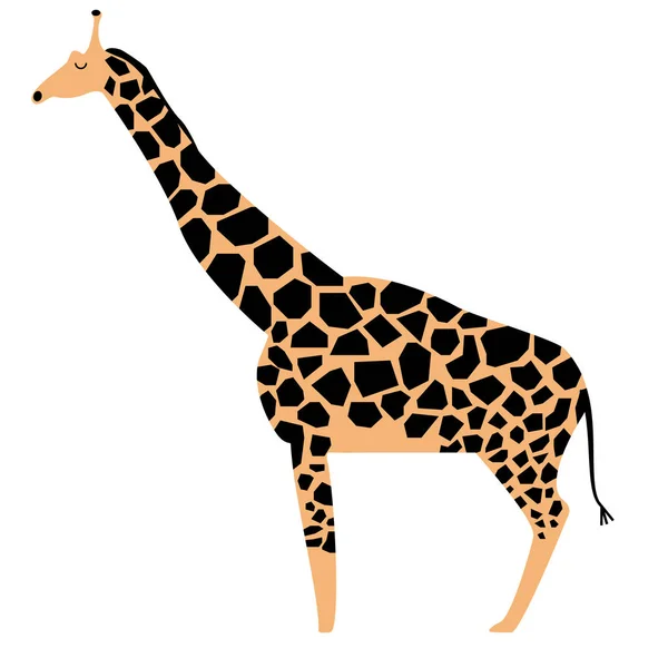 Girafe Illustration plate — Image vectorielle