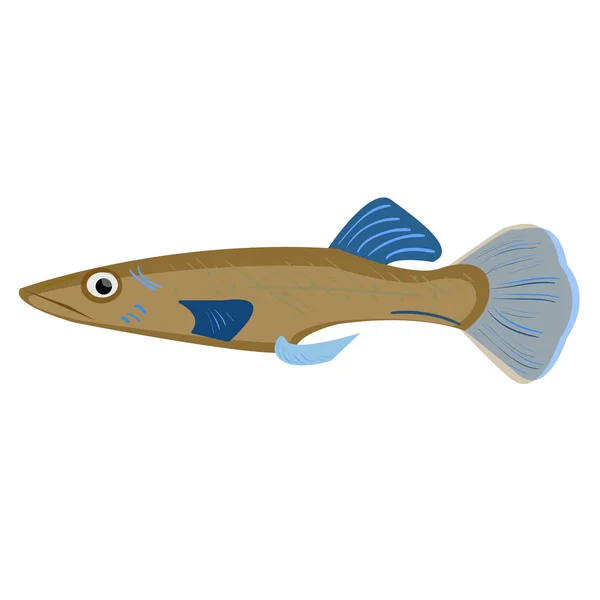 Ilustrasi datar ikan laut - Stok Vektor