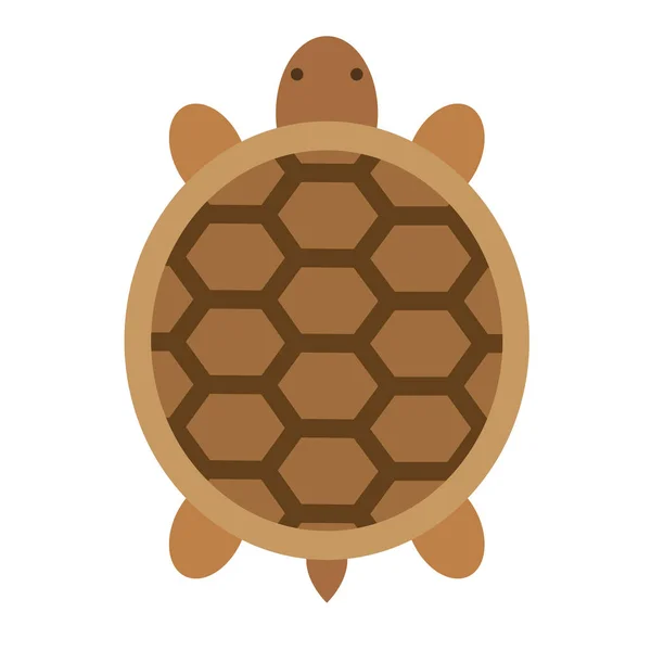 Illustration plate tortue — Image vectorielle