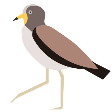 Beyaz üzerinde Oystercatcher düz illüstrasyon