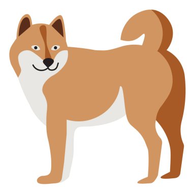 Akita Inu düz resimde beyaz