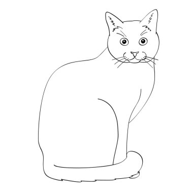 Beyaz kedi düz illüstrasyon