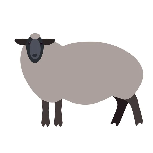 羊フラット ホワイトの図 — ストックベクタ