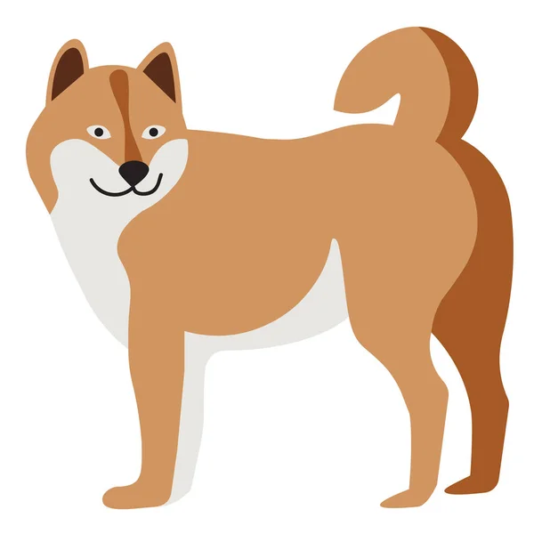 Akita inu flache Abbildung auf weiß — Stockvektor